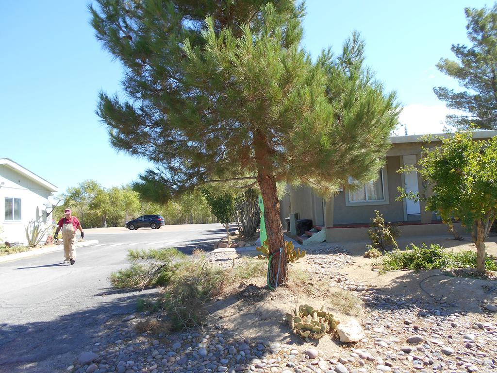 Atomic Inn Beatty Near Death Valley Luaran gambar
